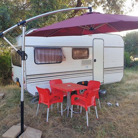 فندق Aquariumi Jale Camping المظهر الخارجي الصورة