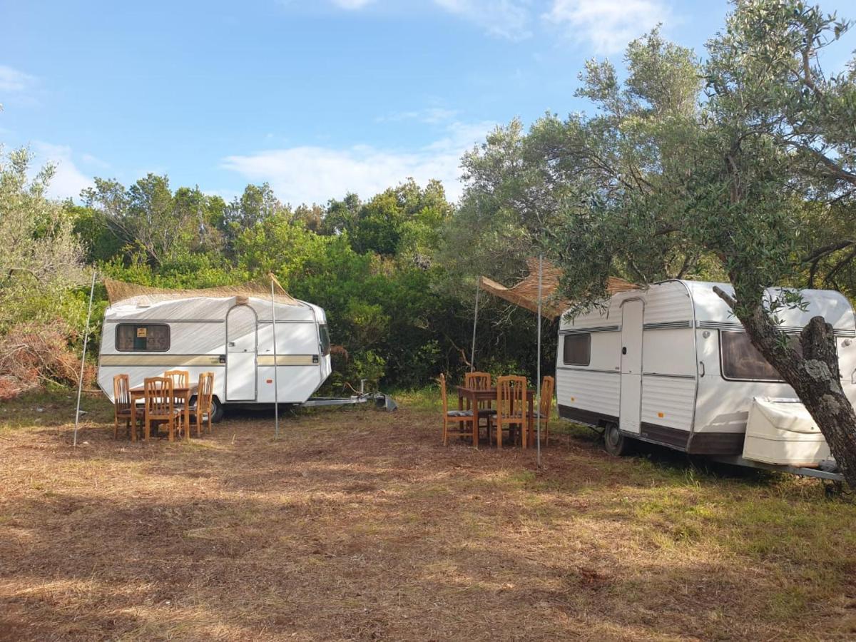 فندق Aquariumi Jale Camping المظهر الخارجي الصورة