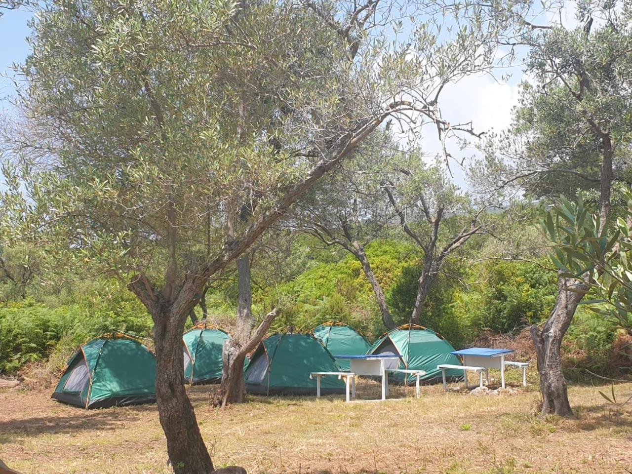 فندق Aquariumi Jale Camping المظهر الخارجي الصورة